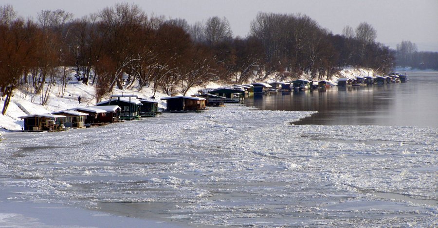 Zale�ena Sava 2012